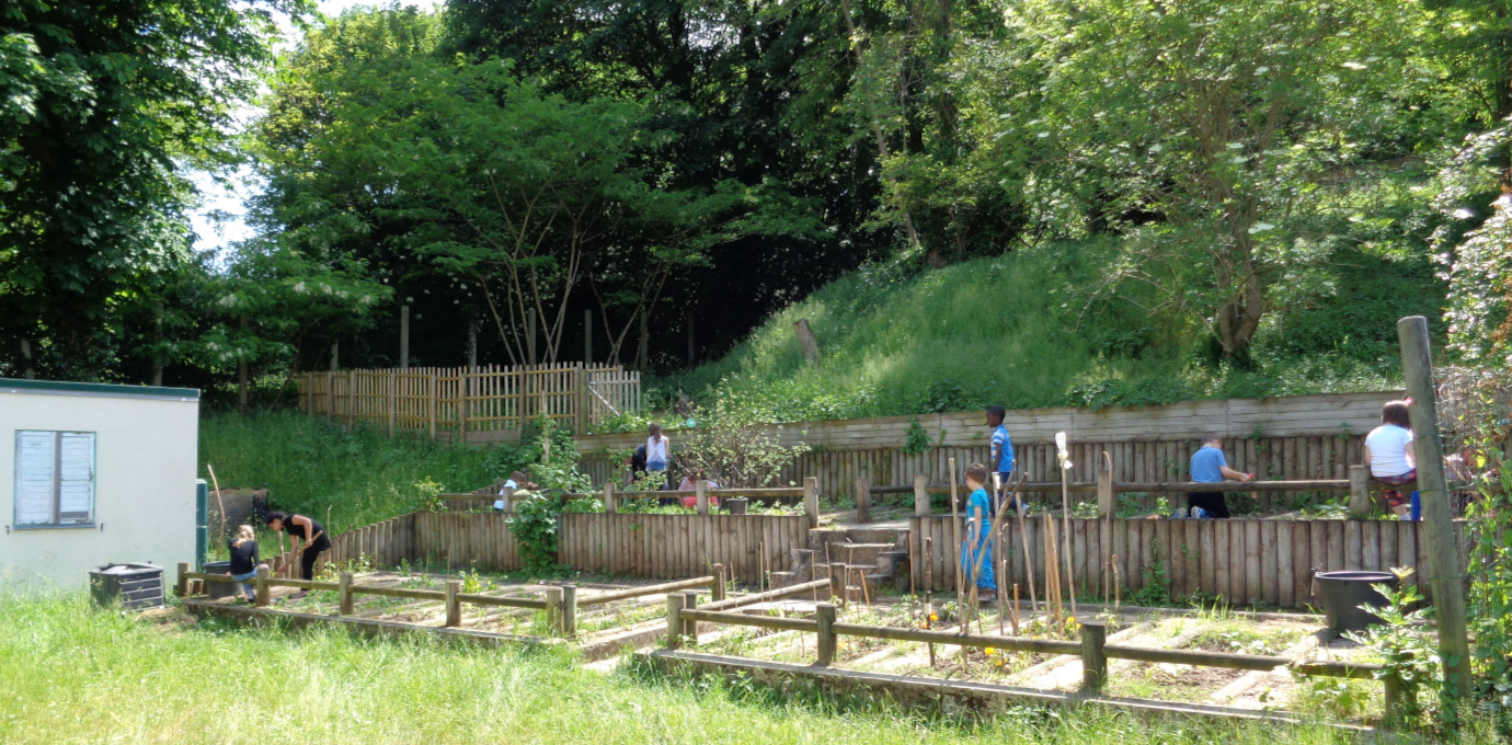 Animation au potager biologique © Eco accueil de loisirs des Gallicourts